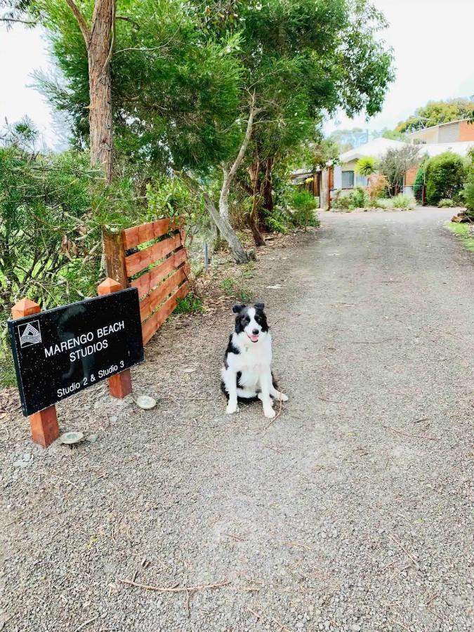 Marengo Beach Studios- Pet Friendly Экстерьер фото